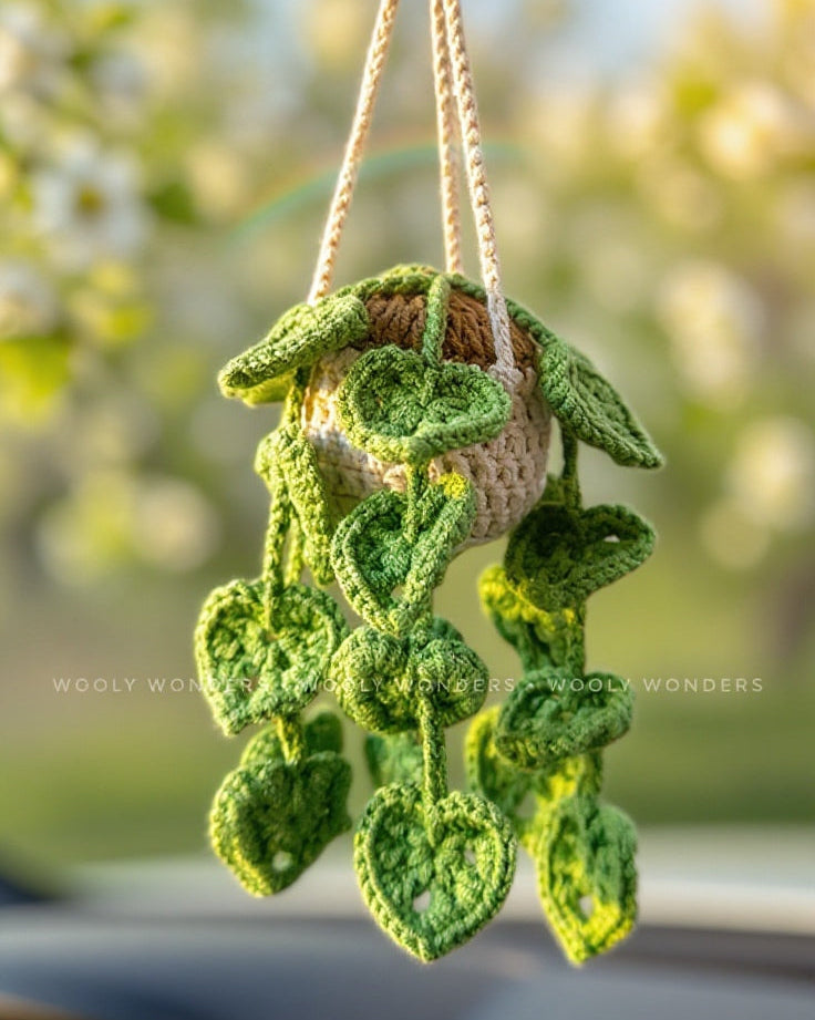 Crochet Hanging Plants