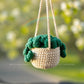 Car Accessories - Crochet Hanging Plant - Happy Deep Pine Green Succulent