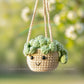 Car Accessories - Crochet Hanging Plant - Happy Sage Green Succulent