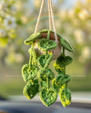 Car Accessories - Crochet Hanging Plant - String of Hearts in Beige Pot