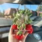Car Accessories - Crochet Hanging Plant - Red Strawberry Plant with White Pot